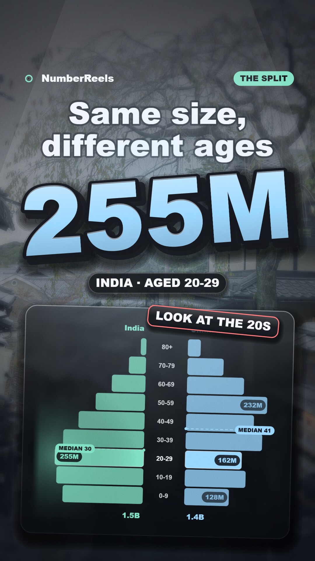 Still frame from “India vs China: two very different age pyramids”
